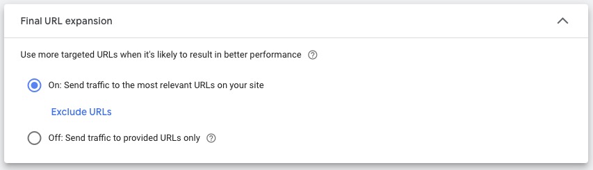 Screenshot Google Performance Max. Einstellungen für erweiterte URL Optionen